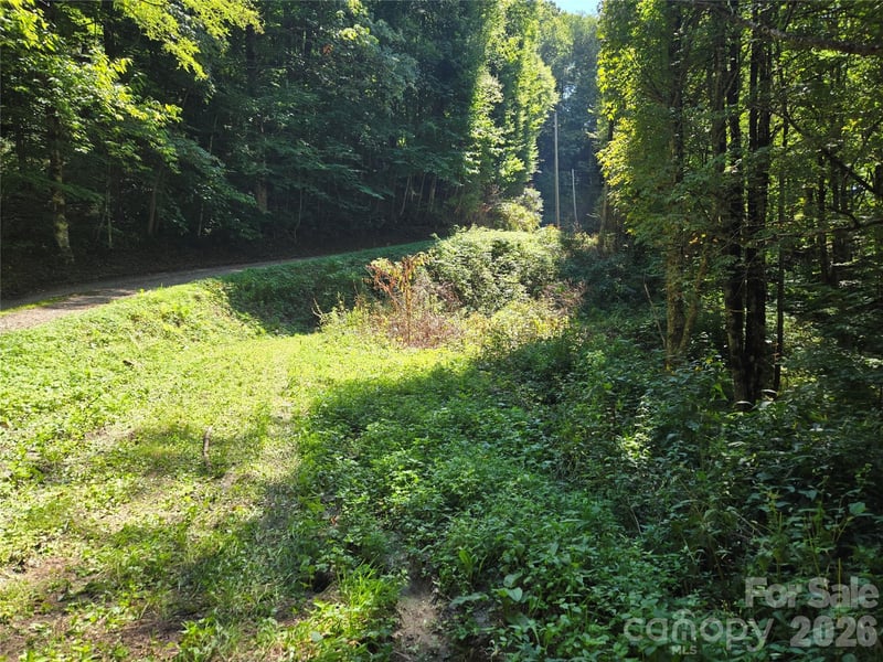 24 Tater Patch Road, Maggie Valley, NC -  - $118,000
