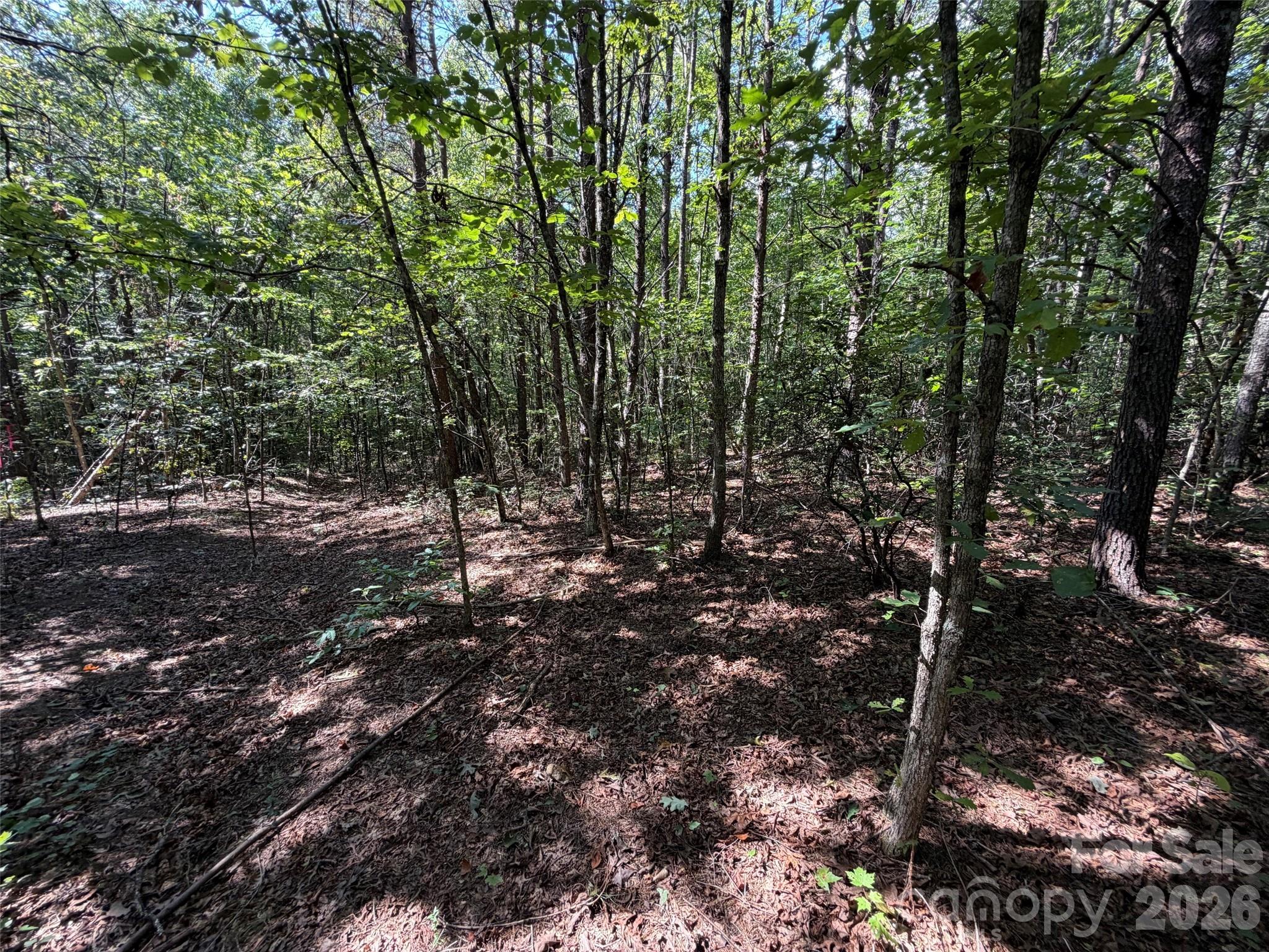 476 Southern Way, Nebo, NC. property listing photo