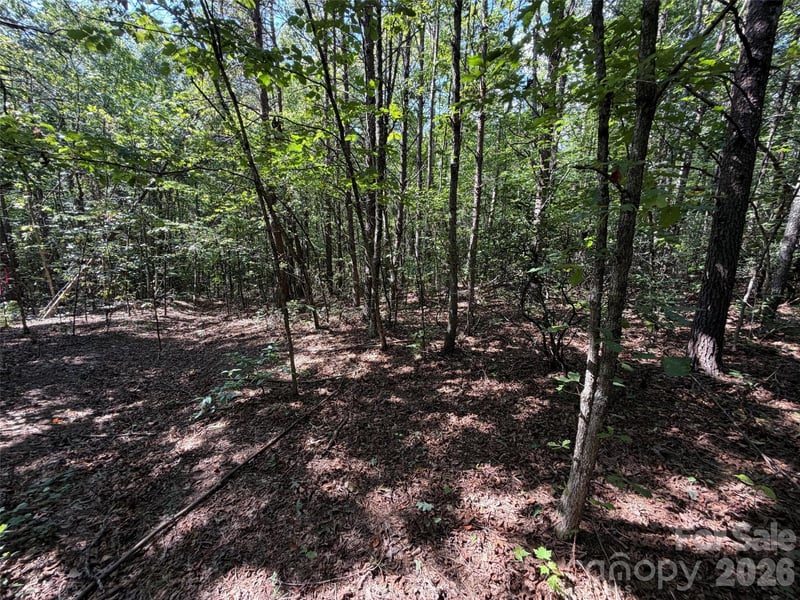 476 Southern Way, Nebo, NC -  - $29,900
