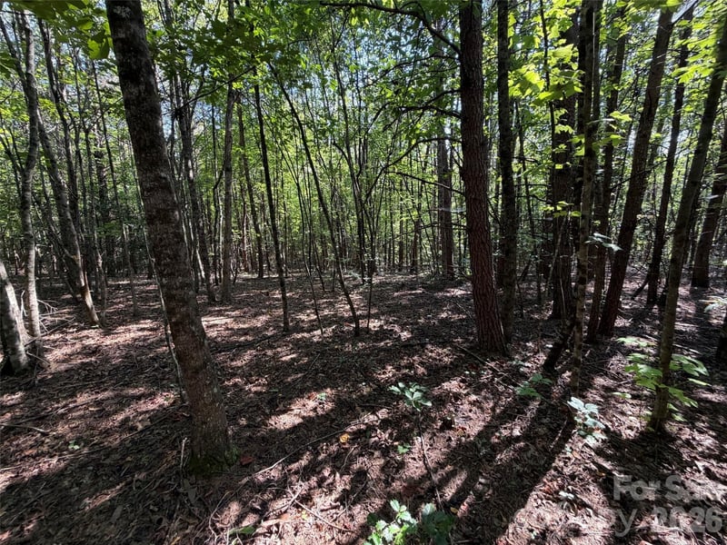 472 Southern Way, Nebo, NC -  - $29,900