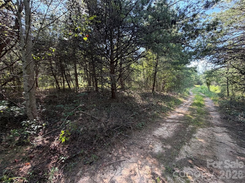 468 Southern Way, Nebo, NC -  - $29,900