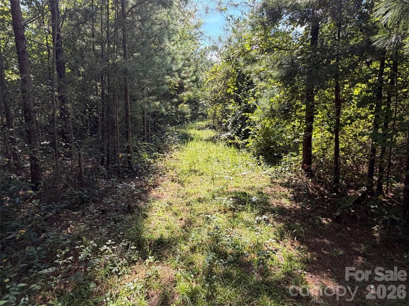 420 Southern Way, Nebo, NC -  - $179,000