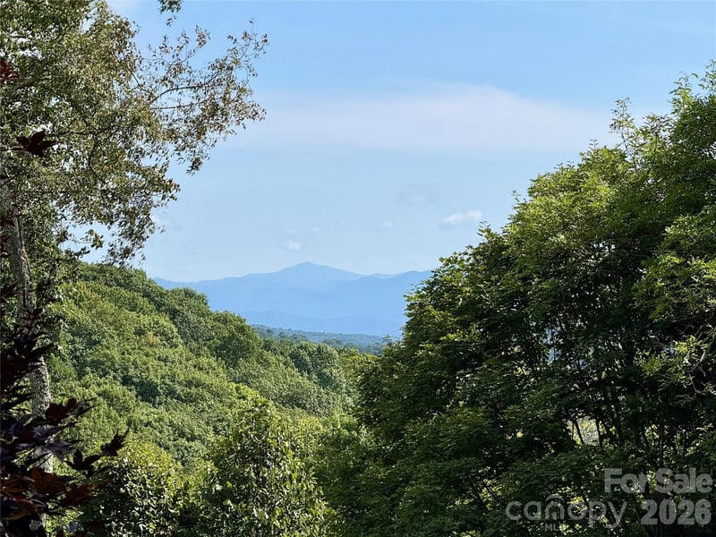 98 Goldenleaf Road, Mars Hill, NC -  - $41,000
