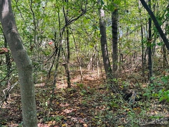 TBD Hi Alta Avenue, Asheville, NC -  - $210,000