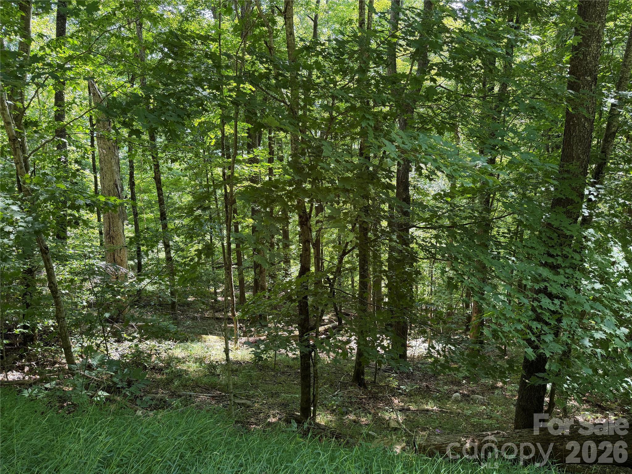 00 Chestnut Village Lane, Mars Hill, NC. property listing photo