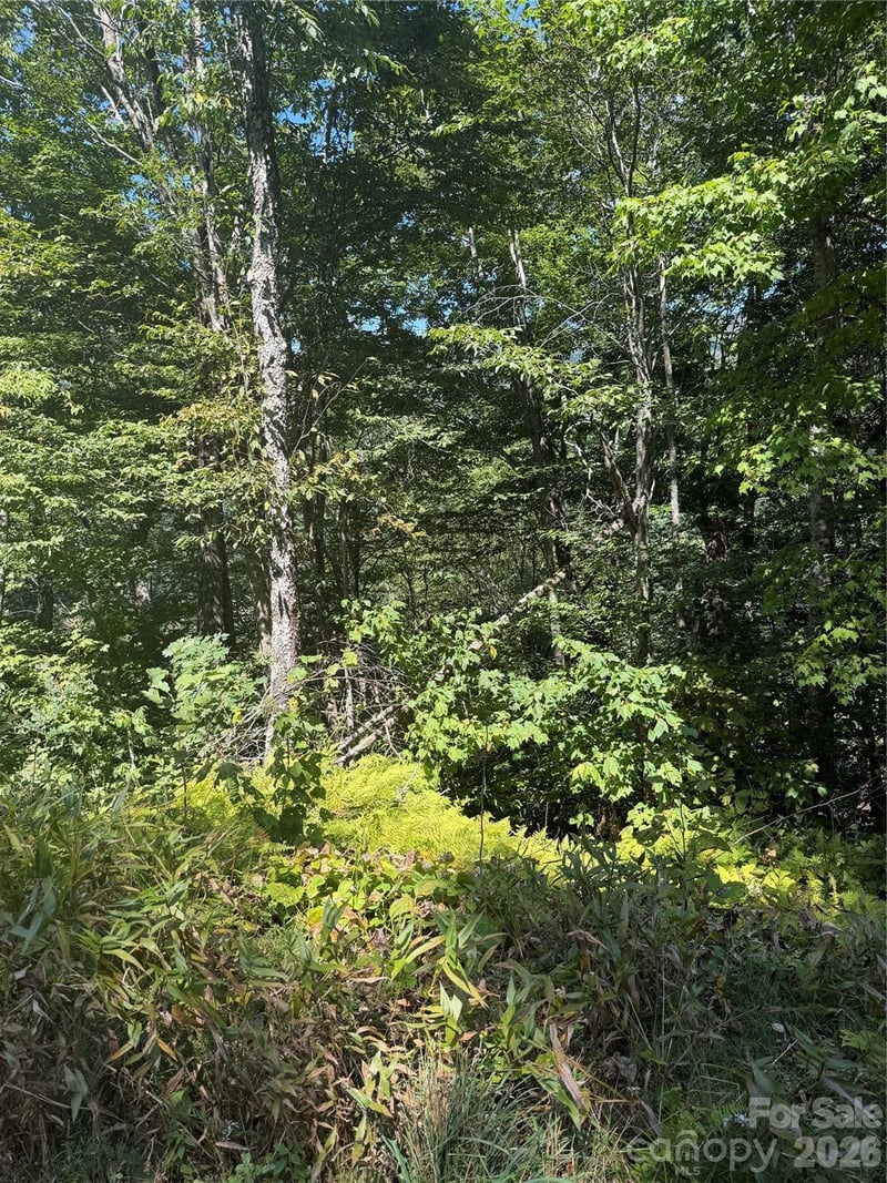 110 Chestnut Lane, Mars Hill, NC -  - $8,500