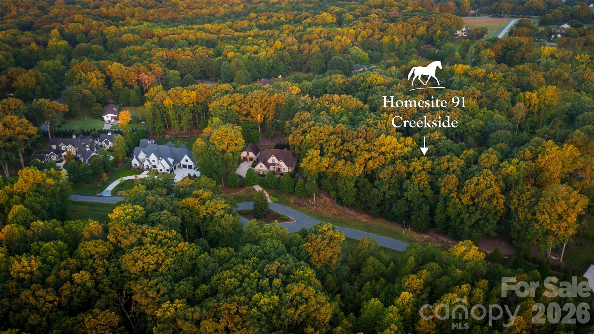 3909 Piaffe Avenue, Mint Hill, NC. property listing photo
