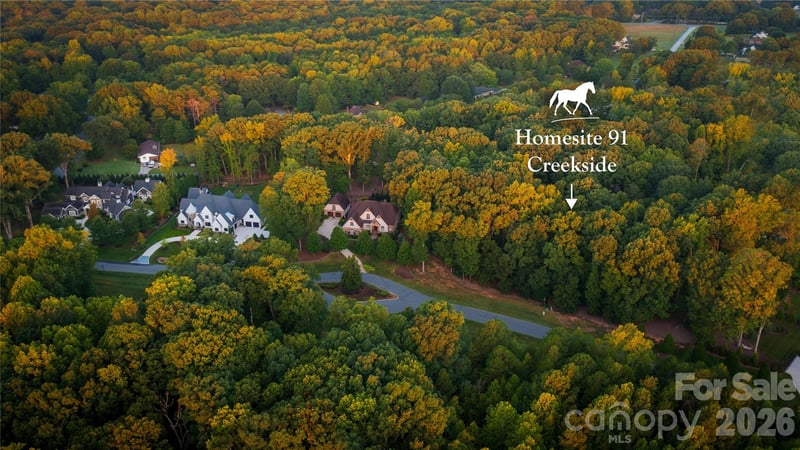 3909 Piaffe Avenue, Mint Hill, NC -  - $324,650