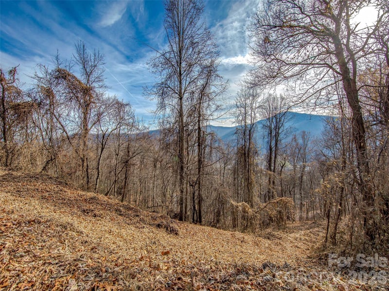 39 Grandview Cliff Heights, Maggie Valley, NC -  - $26,000