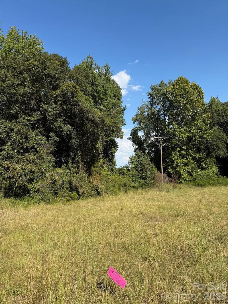 801 S Van Lingle Mungo Boulevard, Pageland, SC -  - $130,000