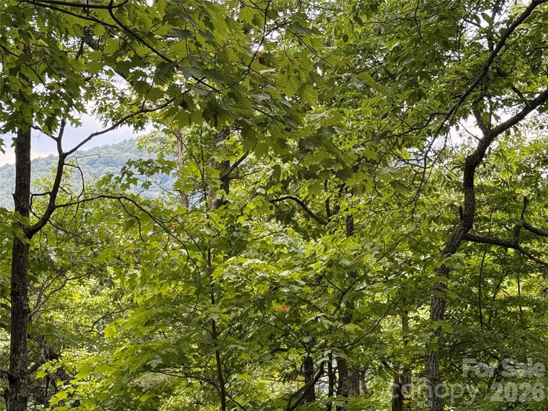 3315 Preserve Road Apt 120, Sylva, NC -  - $1,200,000