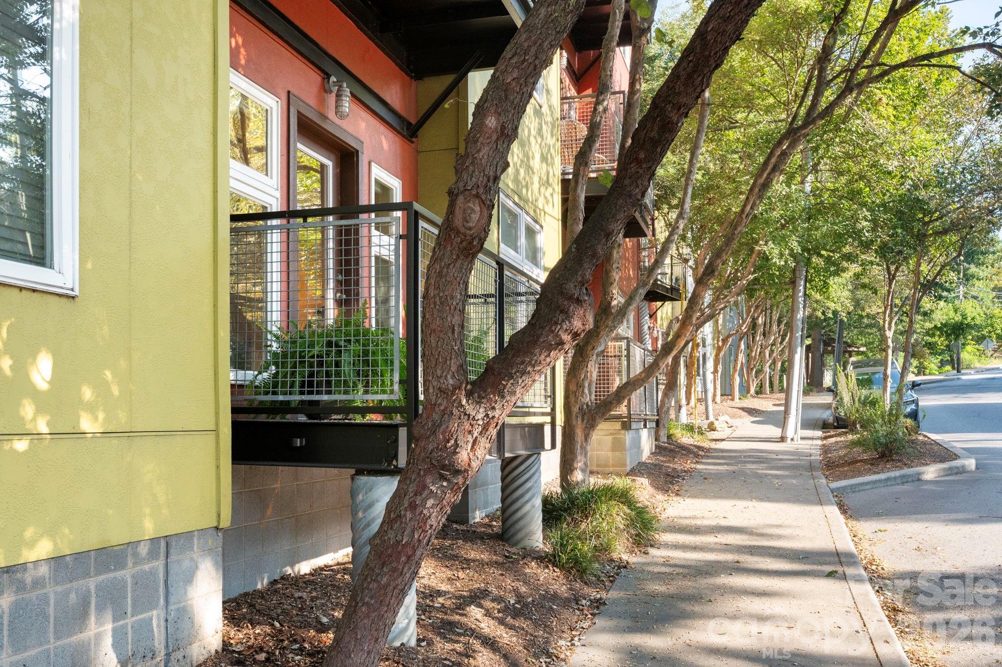 125 Clingman Avenue Apt 103, Asheville, NC. property listing photo