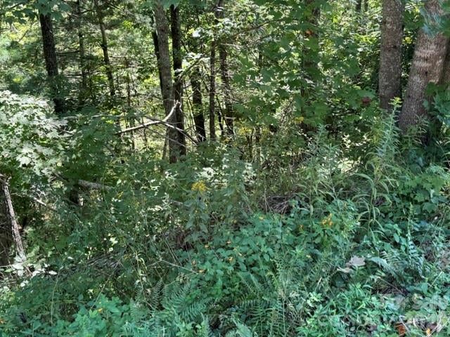 TBD Jarvis Drive, Hendersonville, NC -  - $300,000
