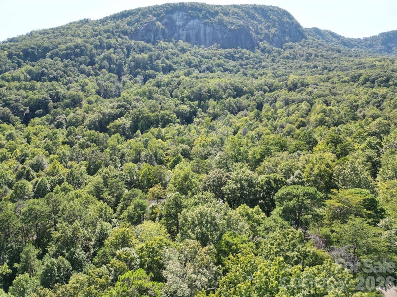 Lot 124, 125, & 101 Banjo Court, Lake Lure, NC -  - $29,900