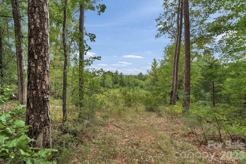 00 Mountain Road, Cleveland, NC -  - $500,000