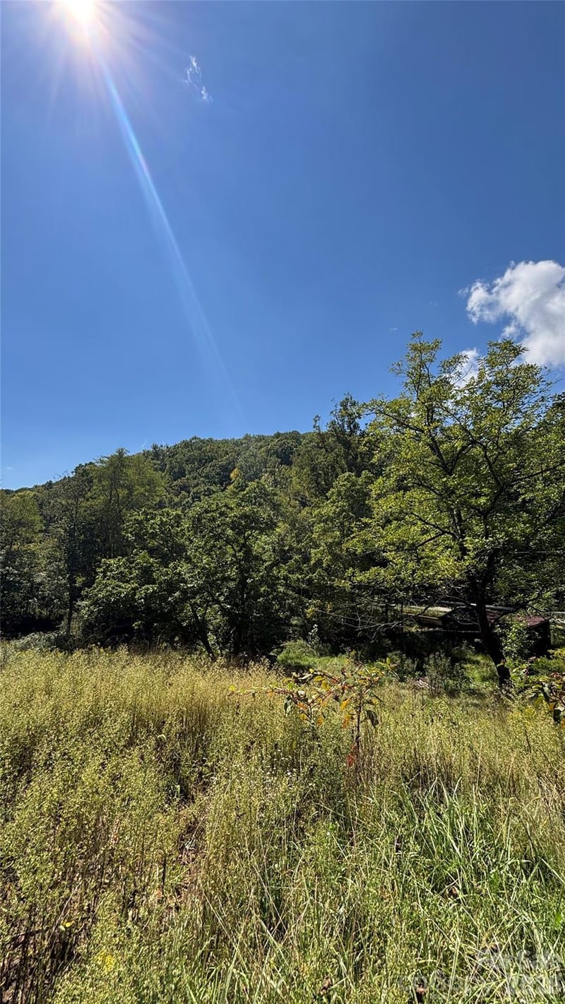 188 Velvis Hollifield Road, Spruce Pine, NC -  - $40,000