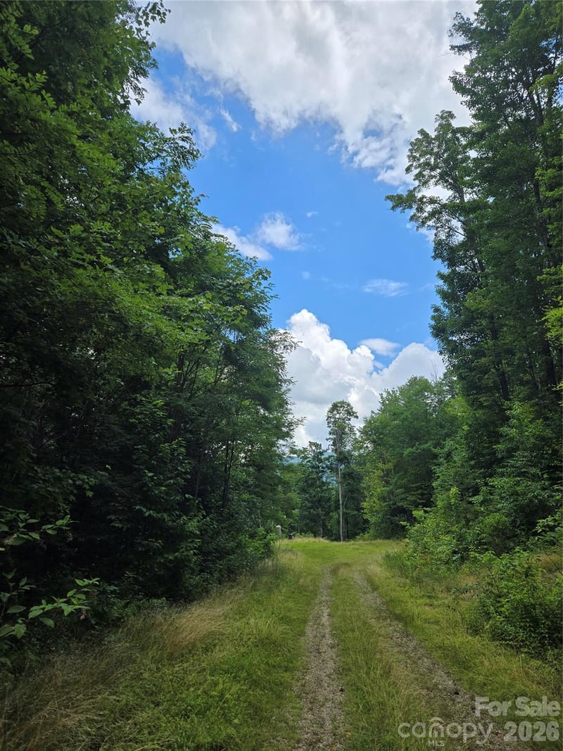 102 Tenderfoot Trail 102 & 103, Maggie Valley, NC -  - $66,000