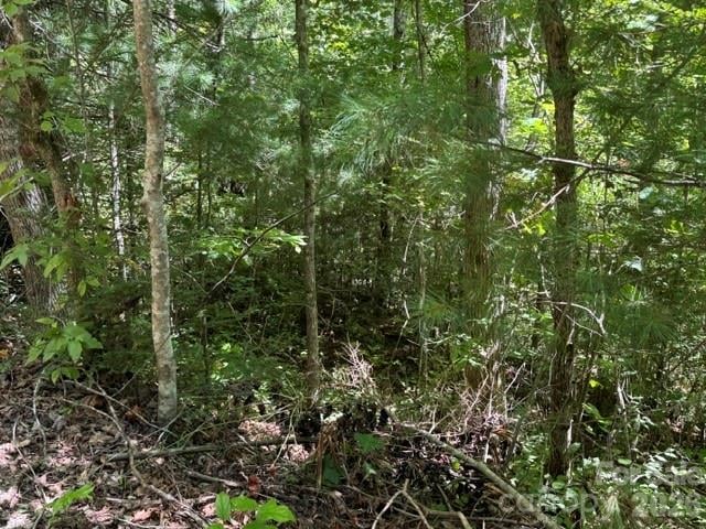TBD Jarvis Drive, Hendersonville, NC -  - $42,000