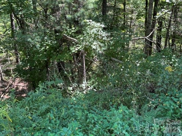 TBD Jarvis Drive, Hendersonville, NC -  - $58,000