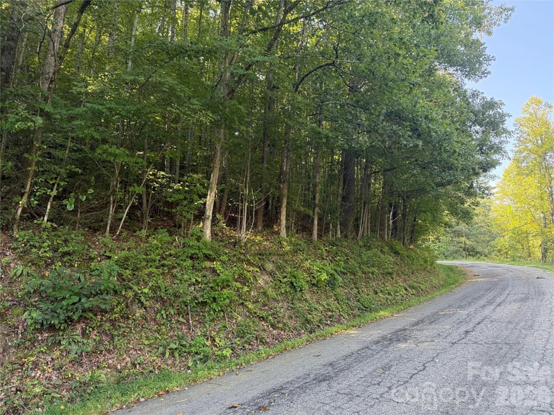 000 Bobcat Road, Waynesville, NC -  - $165,000