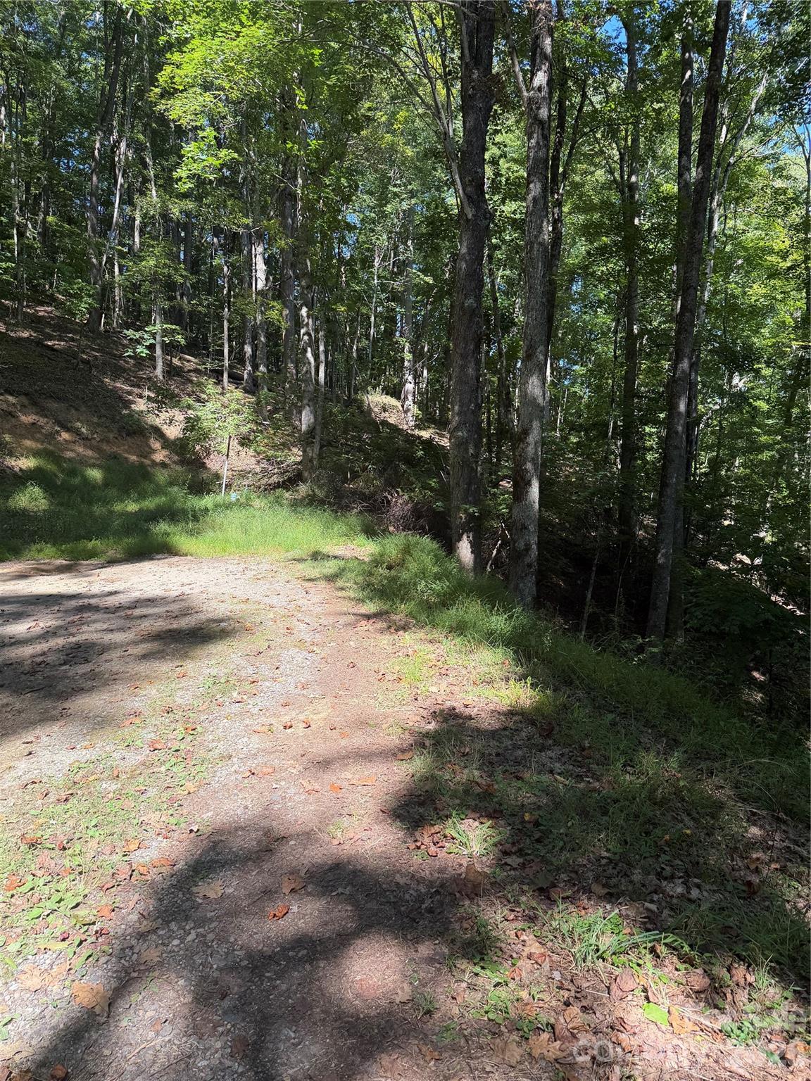 38 Gardenside Lane, Mars Hill, NC. property listing photo
