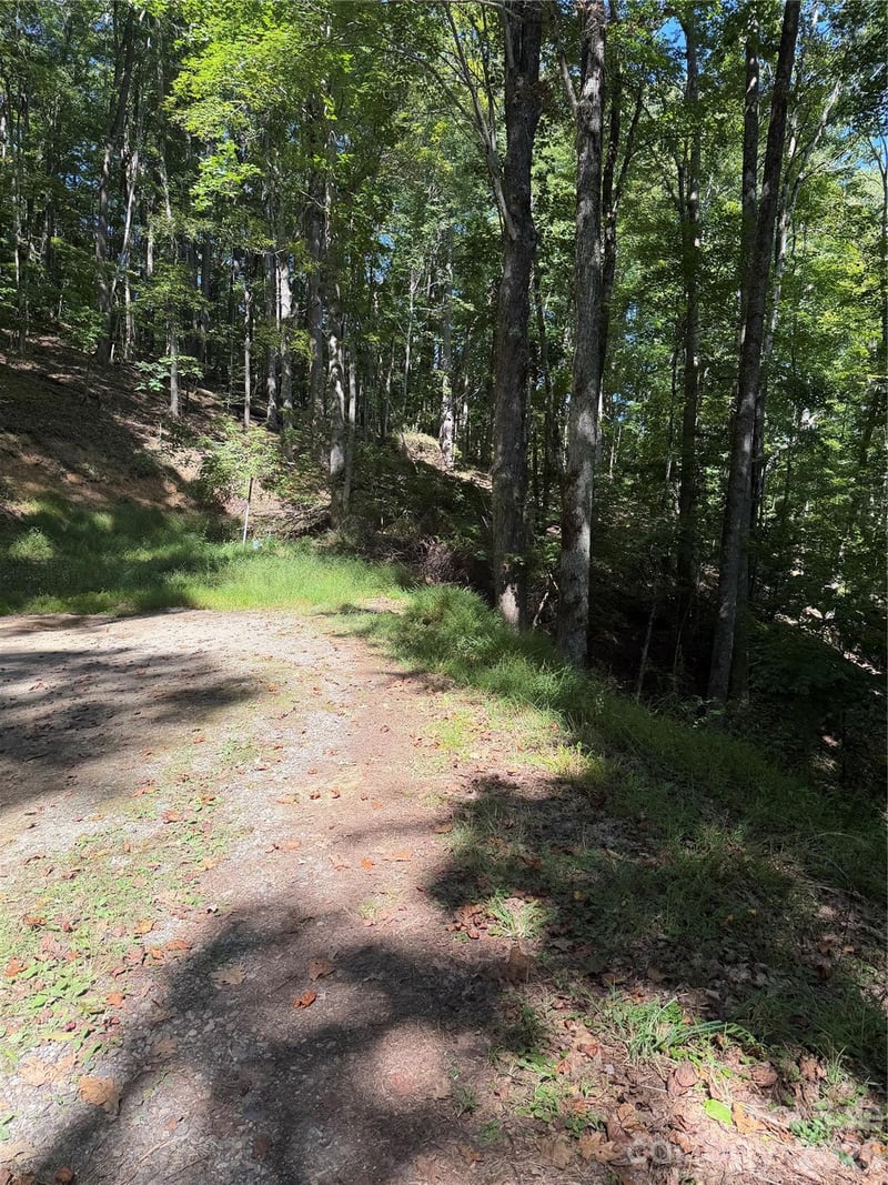 38 Gardenside Lane, Mars Hill, NC -  - $7,500