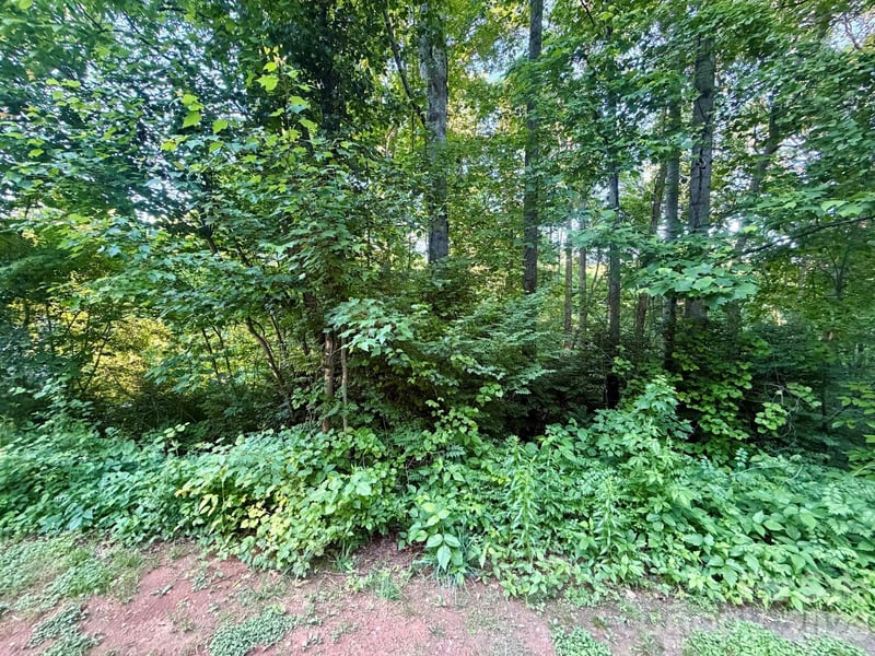 1221 Shirebourn None, Hickory, NC -  - $38,000