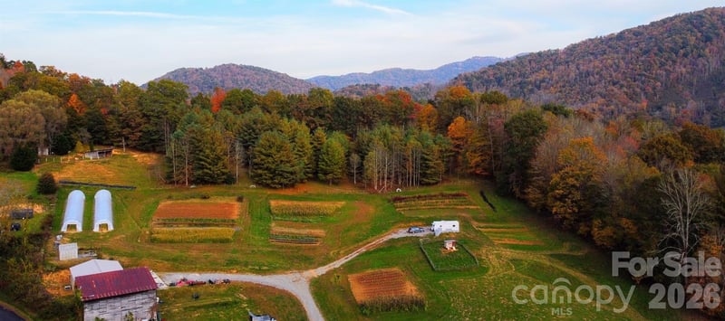 124 Penland Branch Road, Burnsville, NC -  - $249,000