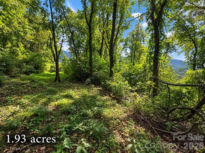 81 Dove Crest Lane 18 & 33, Waynesville, NC -  - $39,000