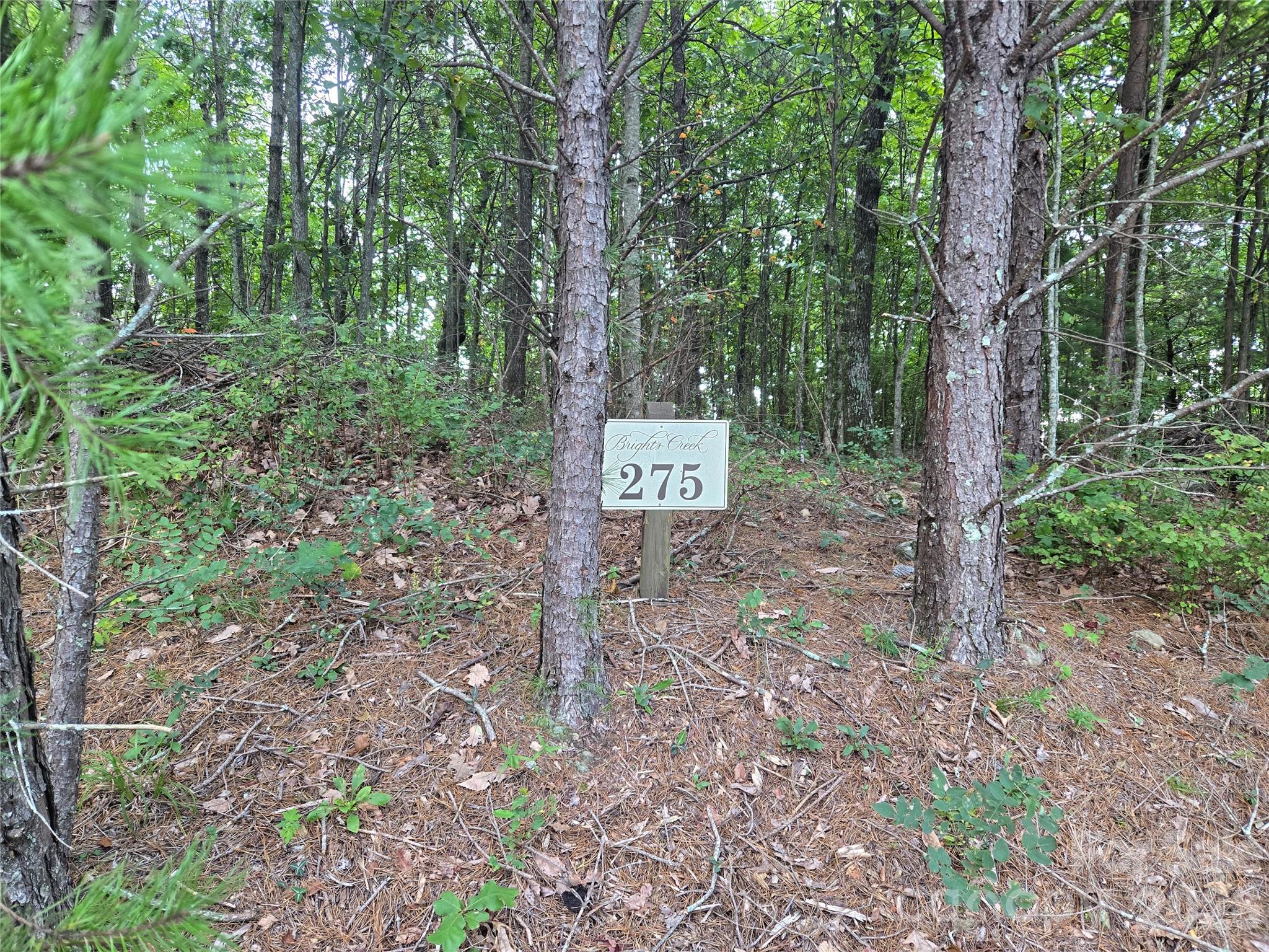 275 Kincaid Pl Apt 275, Mill Spring, NC 28756. property listing photo