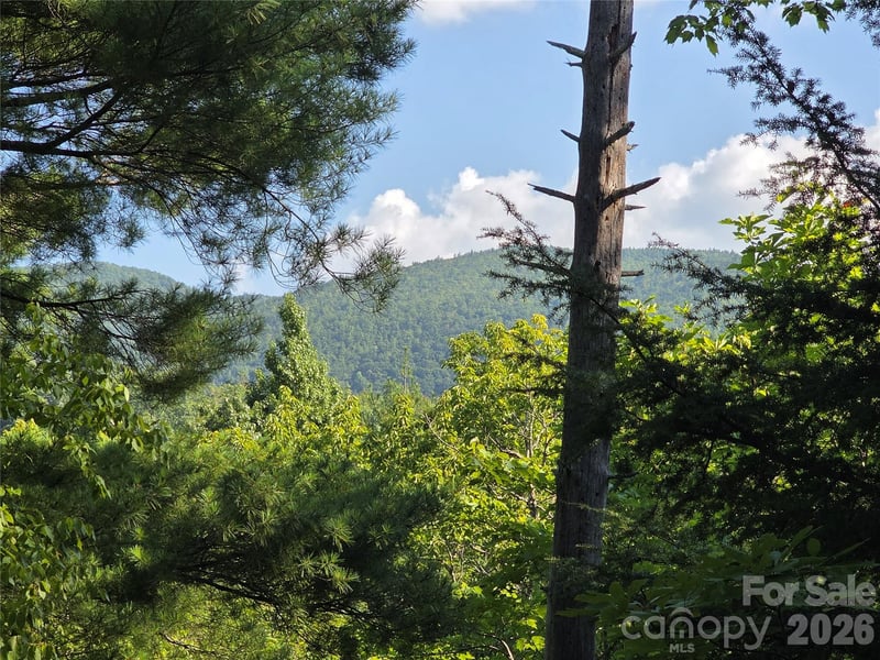 Lot 14B,15B Sequoyah Circle, Marion, NC -  - $20,000
