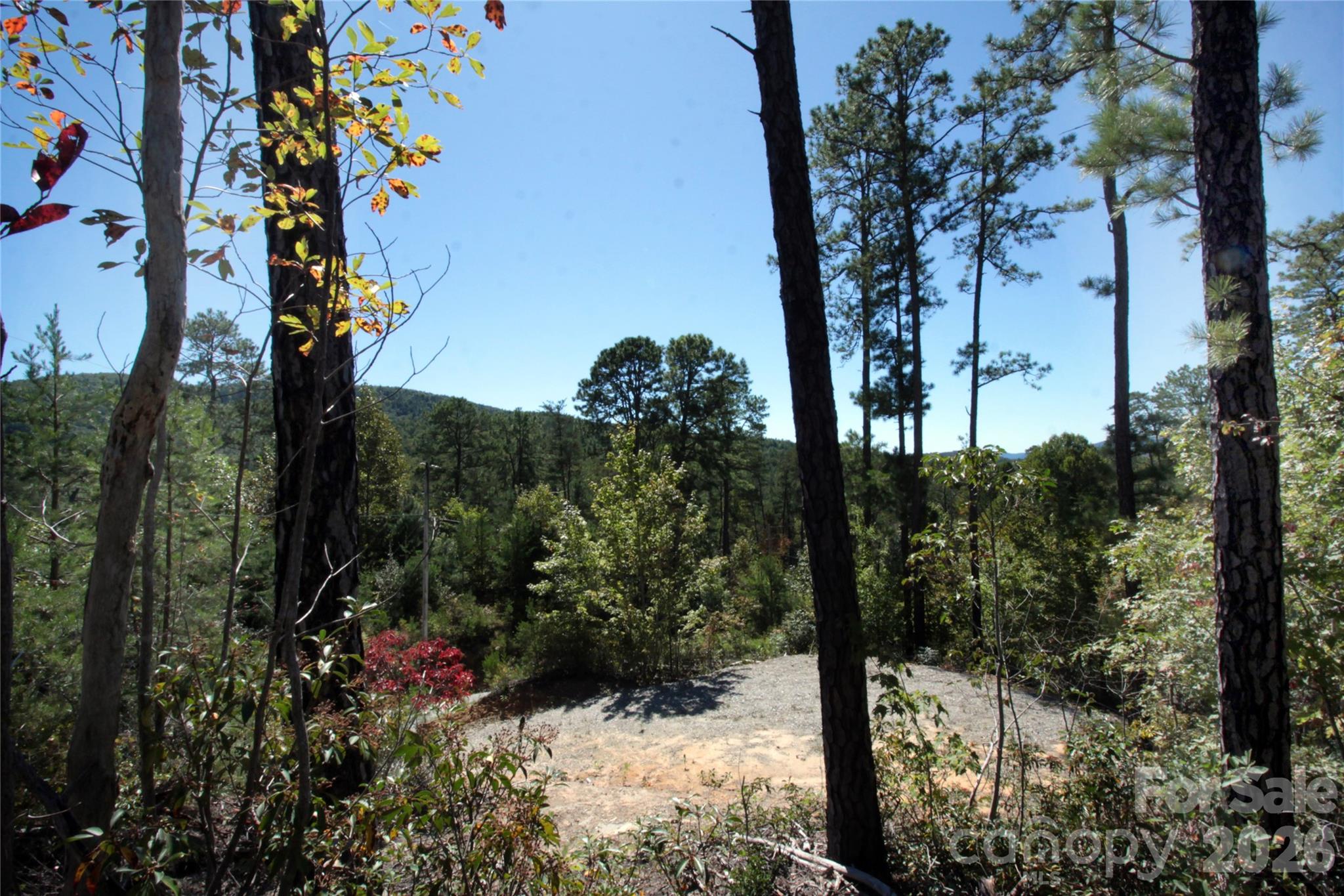 Lot 25 Round Mountain Rd Apt 25, Brevard, NC 28712. property listing photo