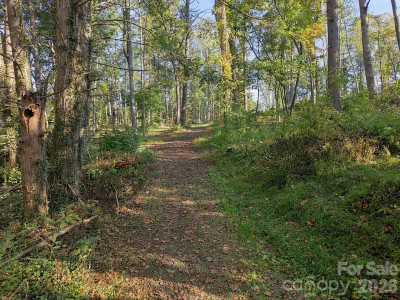 99999 Cane Creek Road, Fletcher, NC -  - $225,000