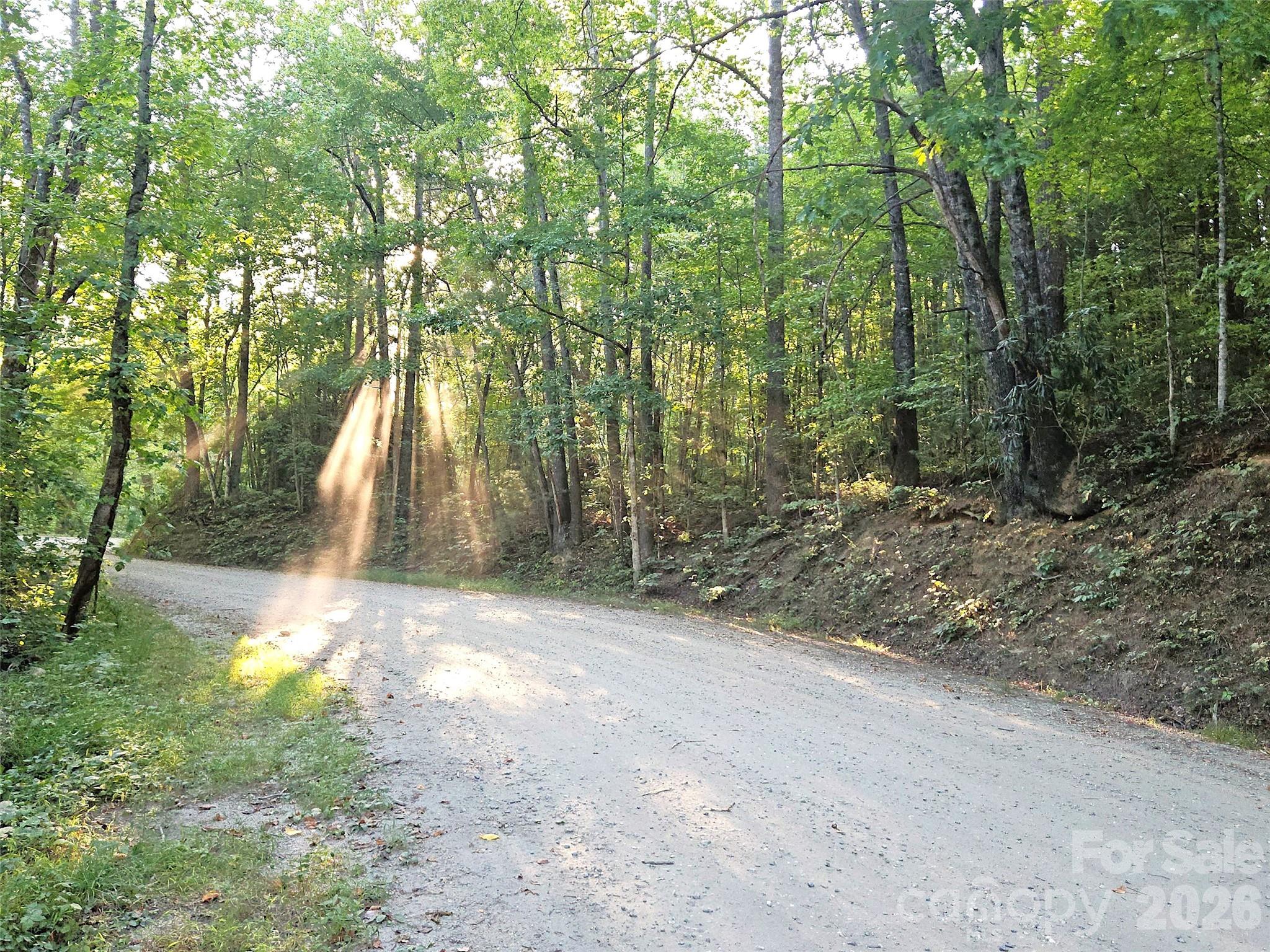 99999 Bear Lake Rd (SR 1137), Tuckasegee, NC 28783. property listing photo