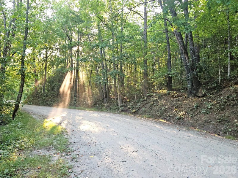 99999 Bear Lake Road (SR 1137), Tuckasegee, NC -  - $469,000