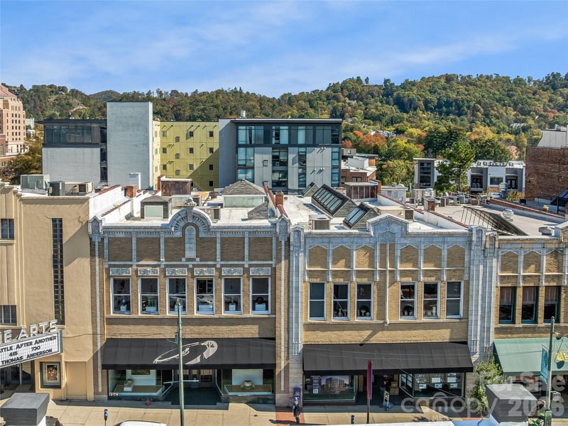 38 & 40 Biltmore Avenue, Asheville, NC - 4 baths - $5,995,000