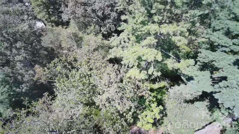 99999 Roebling Circle Apt 37, Asheville, NC -  - $155,000