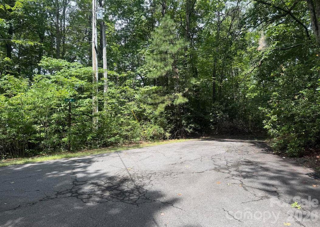 6 David Ct, Brevard, NC 28712. property listing photo
