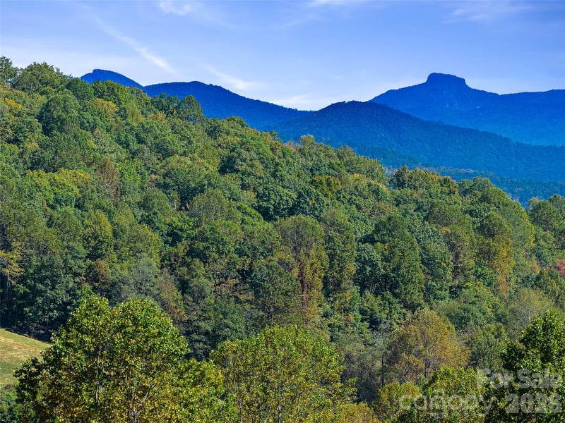 TBD Chestnut Grove Road, Spruce Pine, NC -  - $232,000