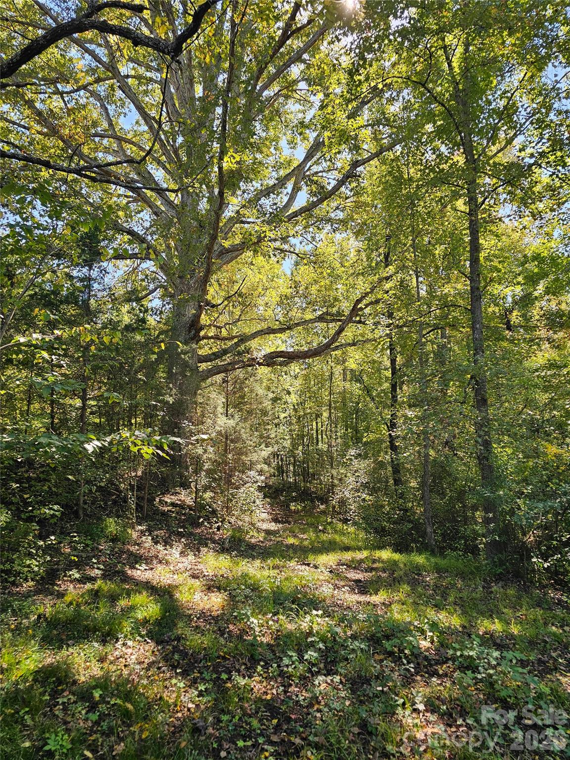 0 Cloud Top Ln, Mooresville, NC 28115. property listing photo