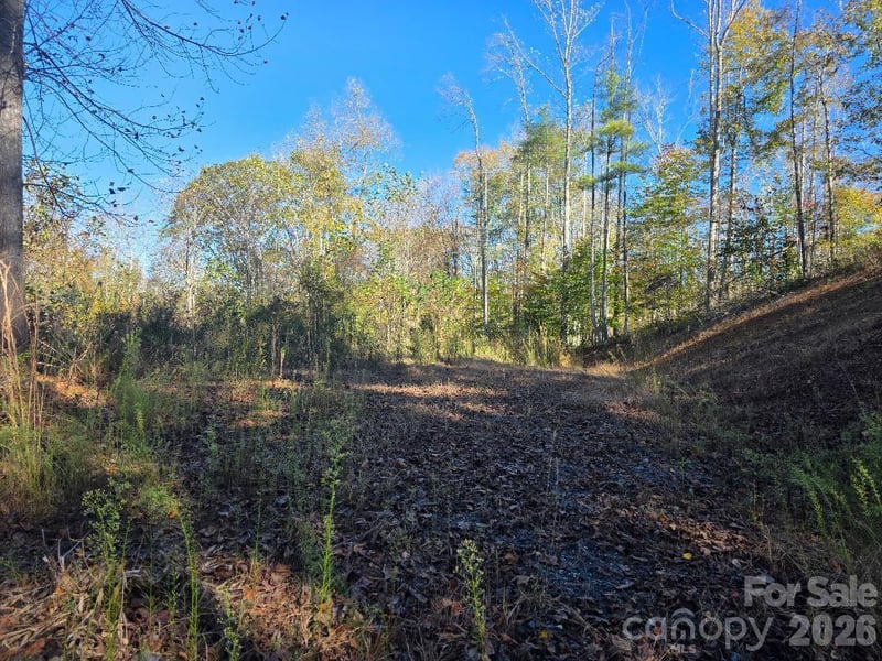 TBD Buckeye Hollow Road, Bakersville, NC -  - $39,000