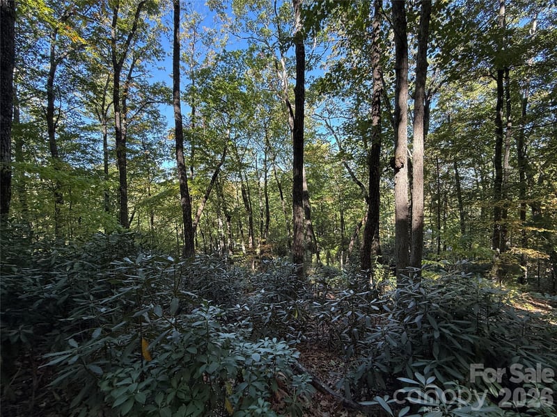 Lot 81 - R Kenmure Drive, Flat Rock, NC -  - $149,900