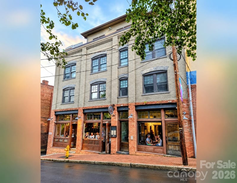 5 Walnut Street, Asheville, NC -  - $3,600,000